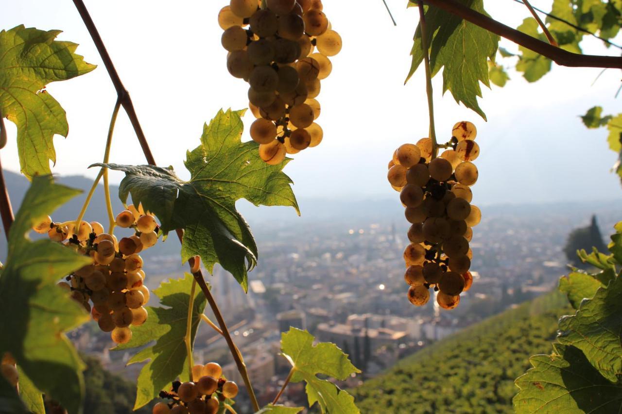 דירות בולצאנו Weingut Eberlehof מראה חיצוני תמונה