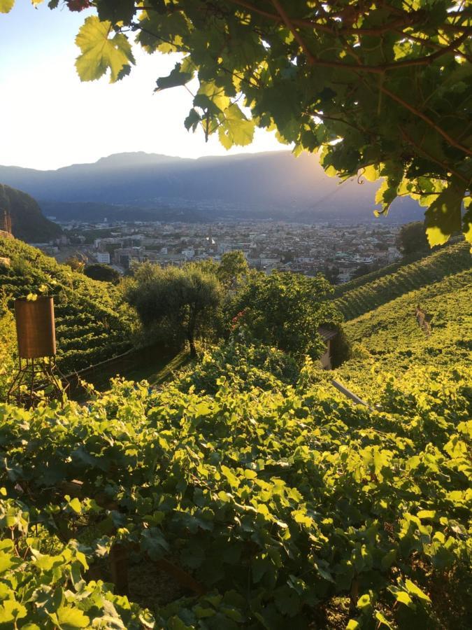 דירות בולצאנו Weingut Eberlehof מראה חיצוני תמונה